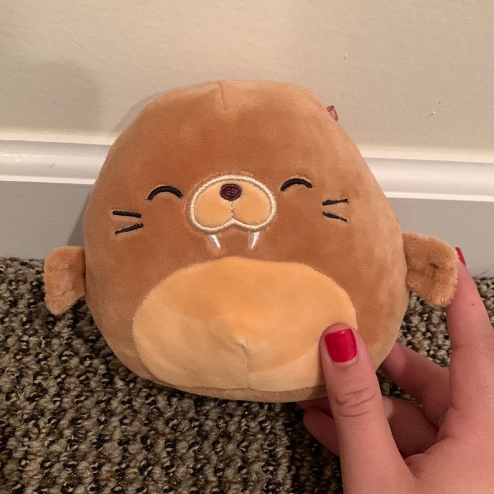 5 inch Bruce walrus